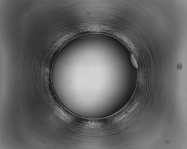 X0000100330445200806051538