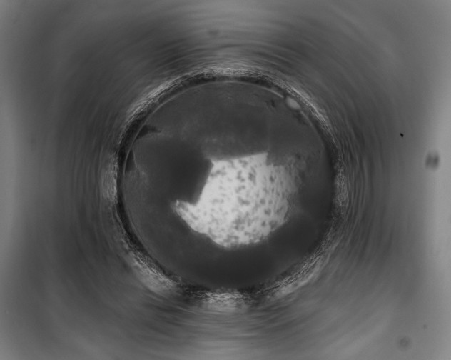 X0000100330446200806051538