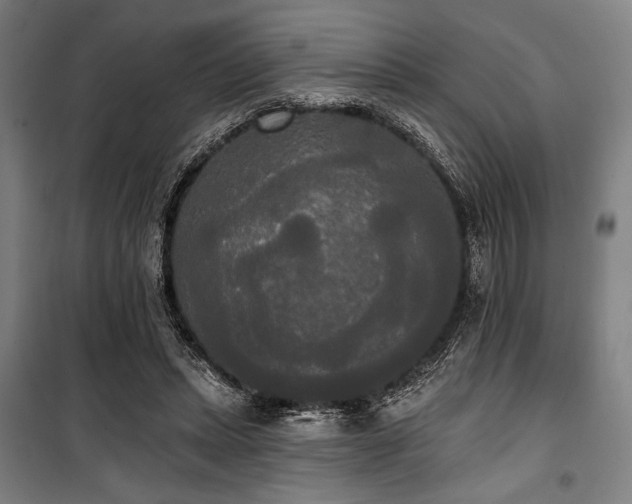 X0000100330447200806051538