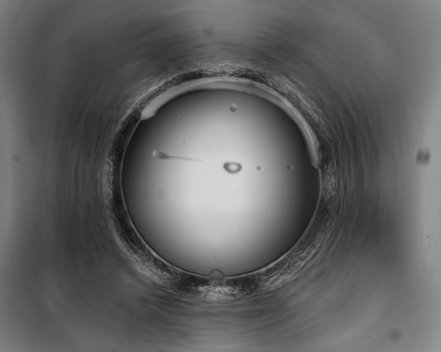 X0000100330448200806051538