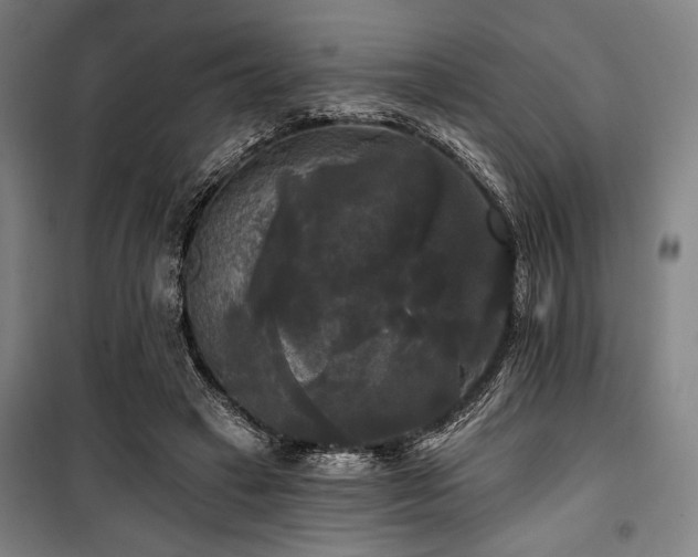 X0000100330449200806051538