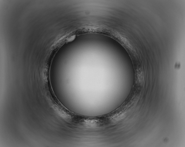 X0000100330450200806051538