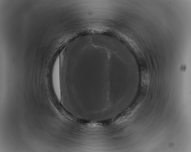 X0000100330451200806051538