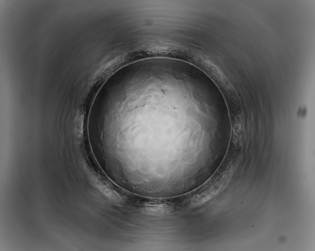 X0000100330454200806051538