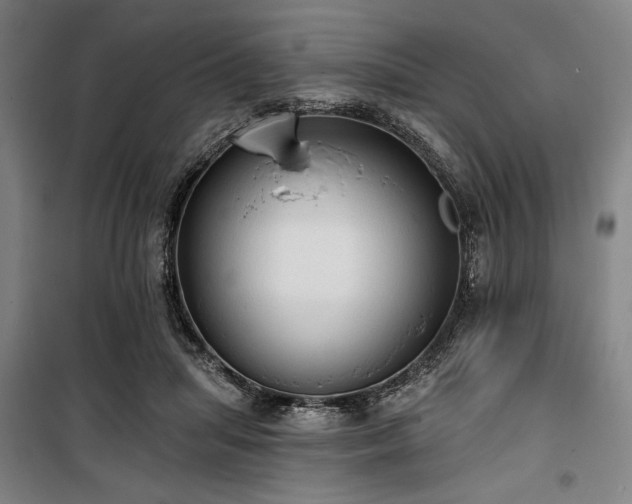 X0000100330455200806051538