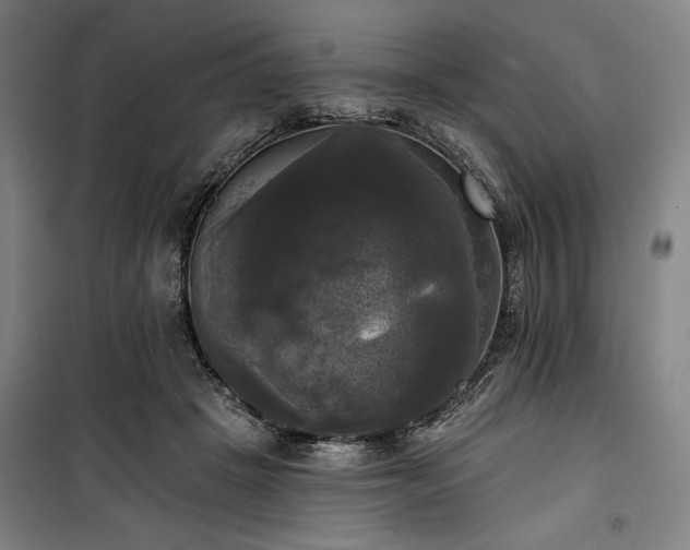 X0000100330457200806051538