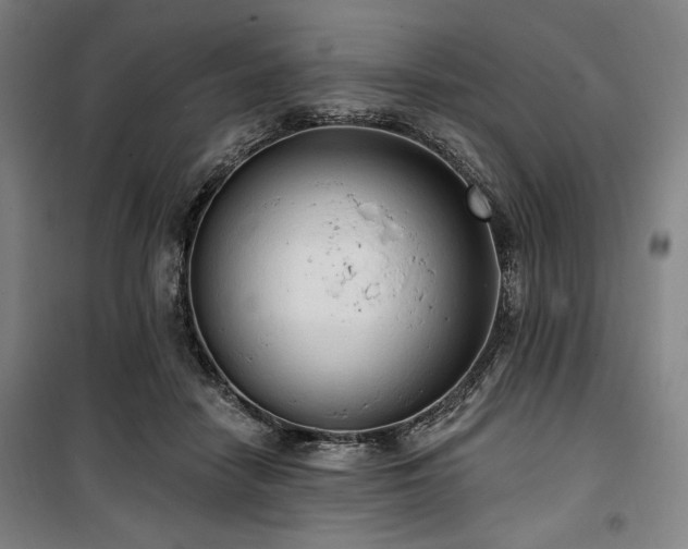 X0000100330458200806051538