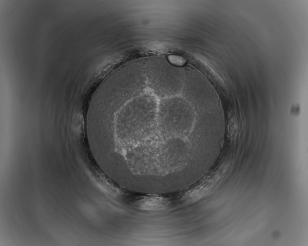 X0000100330459200806051538