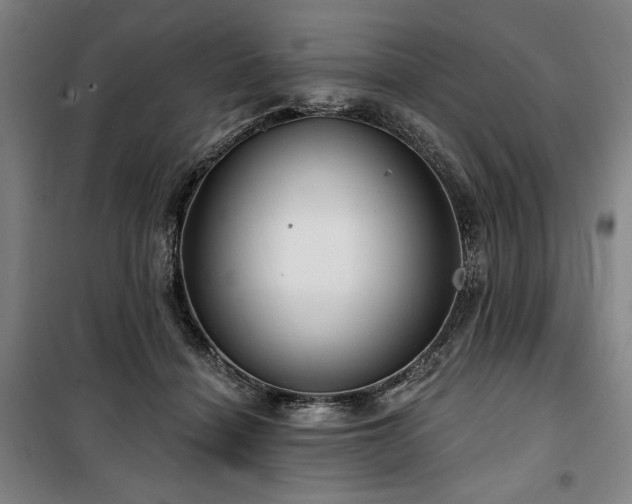 X0000100330460200806051538