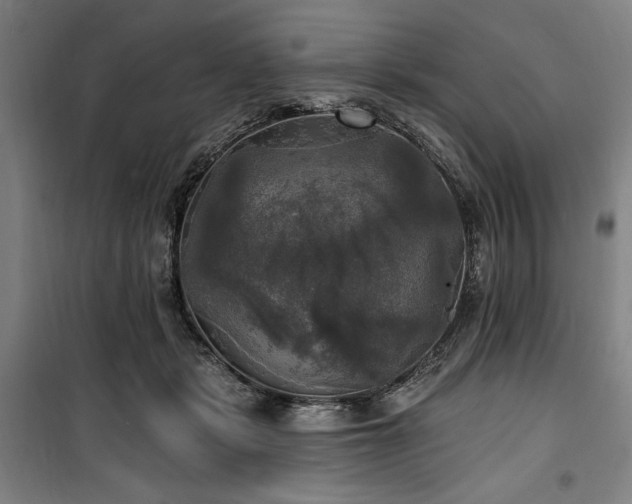 X0000100330461200806051538