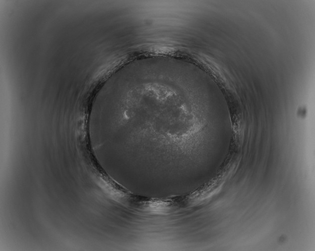 X0000100330462200806051538