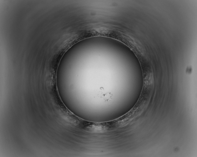 X0000100330464200806051538