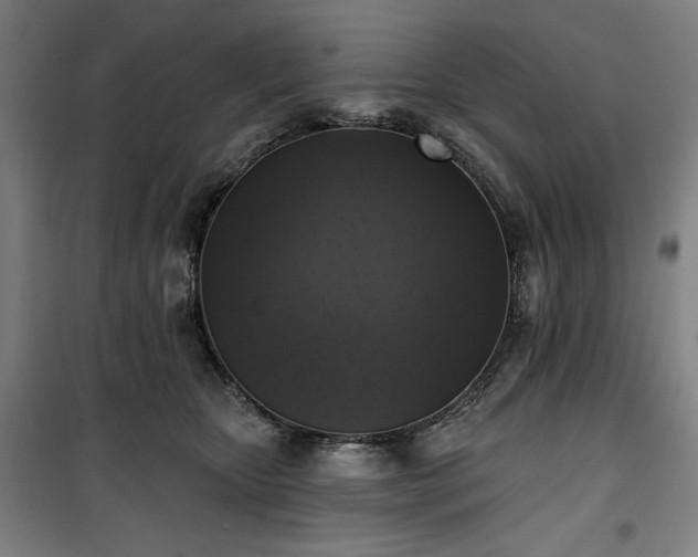 X0000100330467200806051538