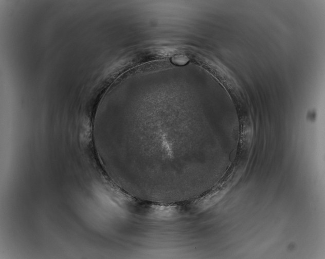 X0000100330469200806051538