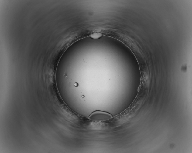 X0000100330470200806051538