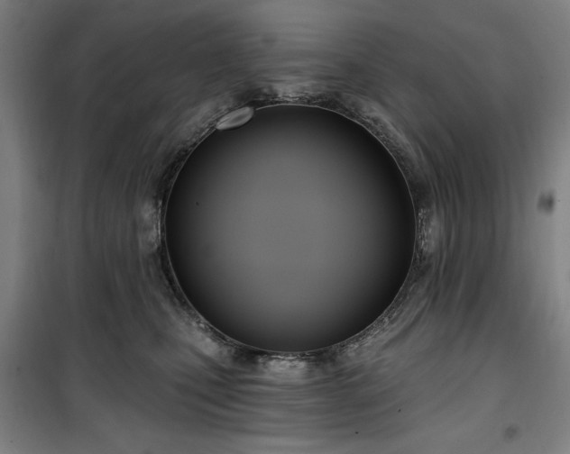 X0000100330471200806051538