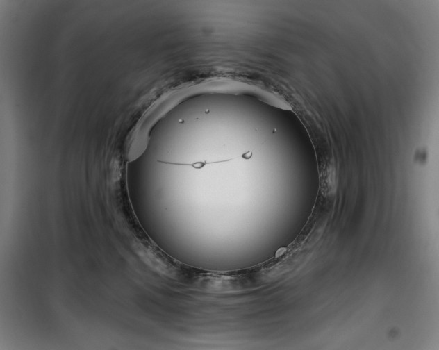 X0000100330472200806051538