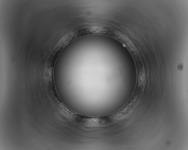 X0000100330473200806051538