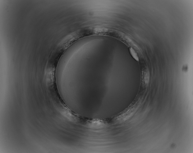 X0000100330475200806051538