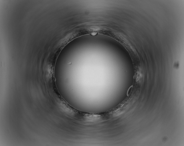 X0000100330476200806051538