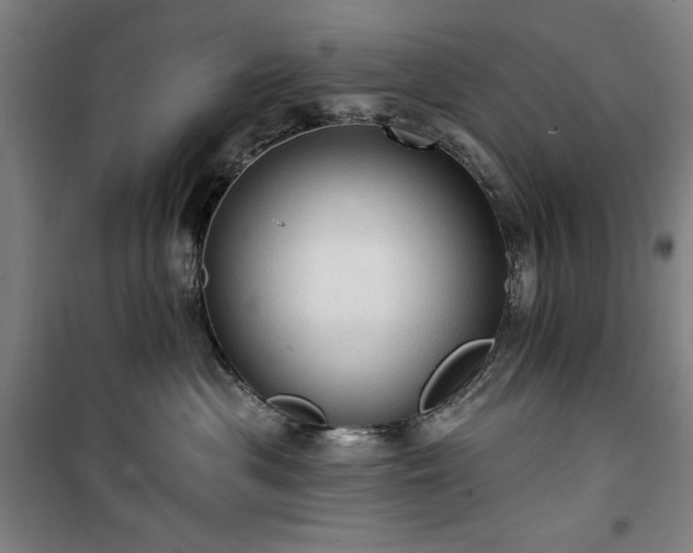 X0000100330477200806051538