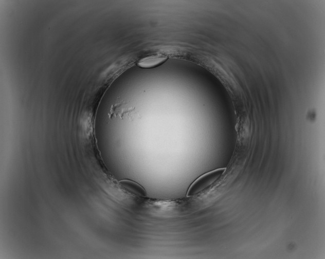 X0000100330478200806051538