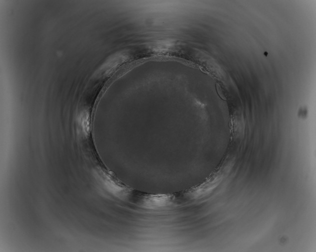 X0000100330479200806051538