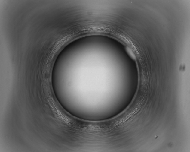 X0000100330481200806051538