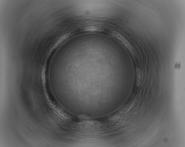 X0000100330482200806051538