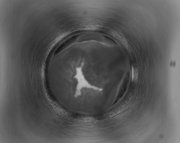 X0000100330483200806051538