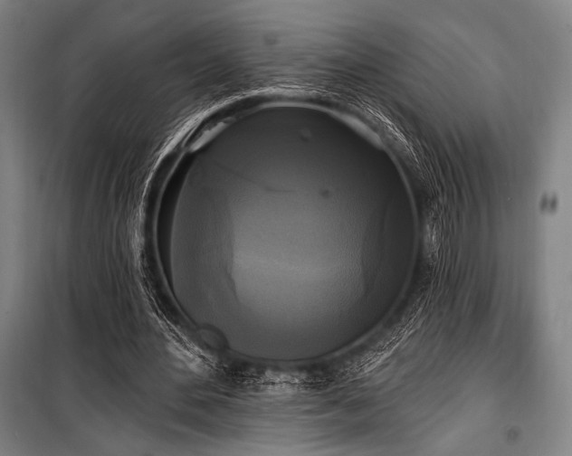 X0000100330484200806051538