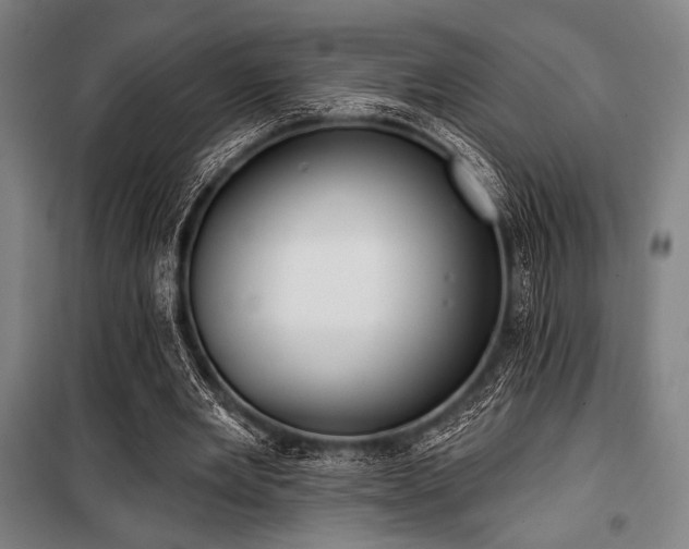 X0000100330485200806051538