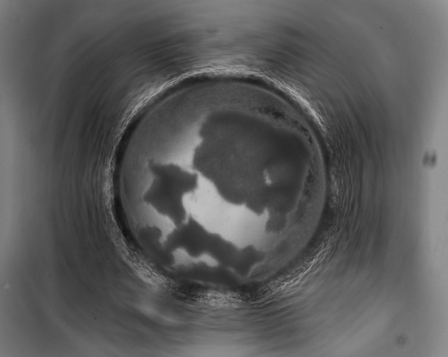 X0000100330487200806051538