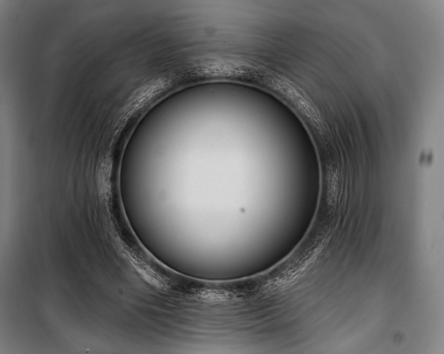 X0000100330490200806051537