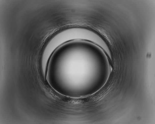 X0000100330495200806051537