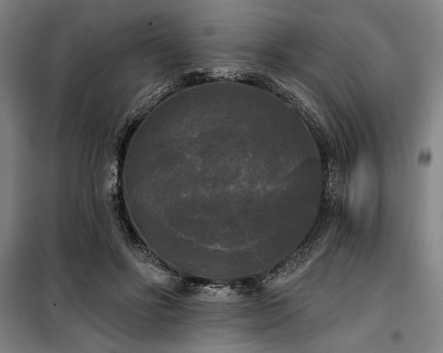 X0000100330502200806051537