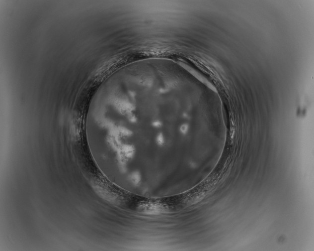 X0000100330503200806051537