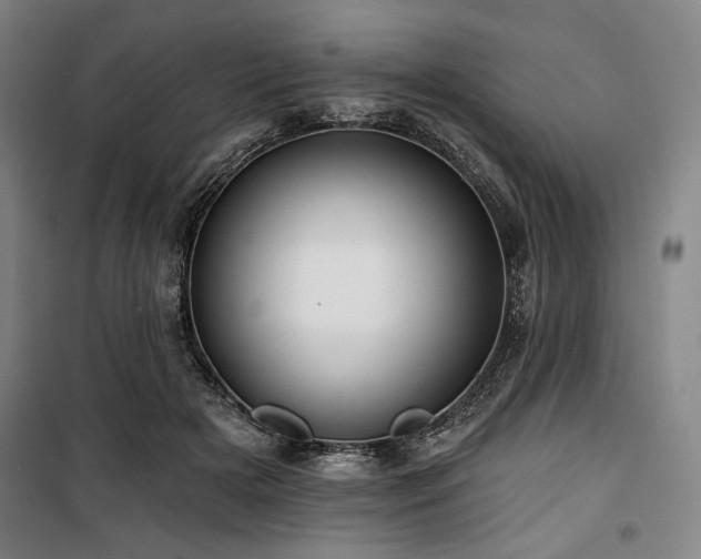 X0000100330505200806051537