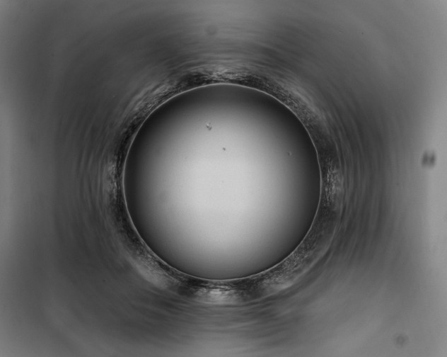 X0000100330506200806051537