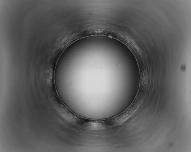 X0000100330509200806051537