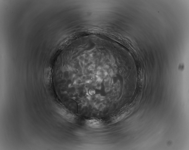 X0000100330511200806051537