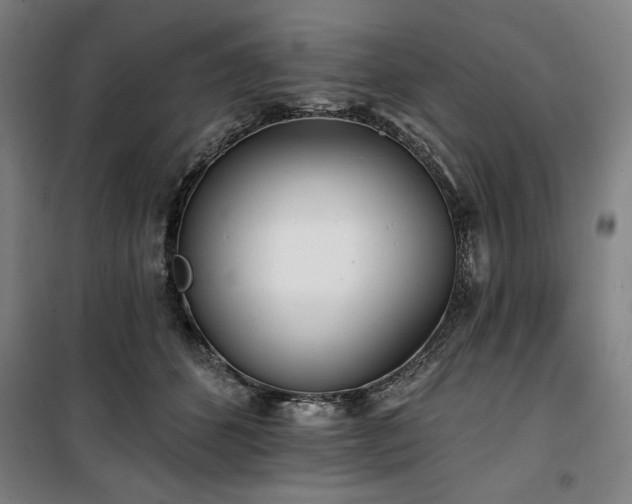 X0000100330512200806051537