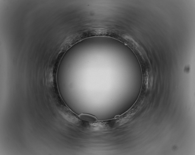 X0000100330516200806051537