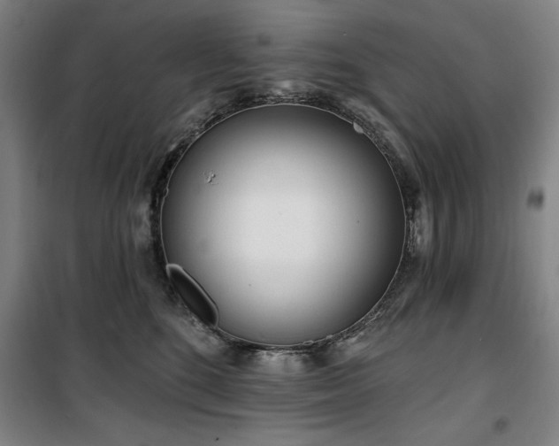 X0000100330520200806051537