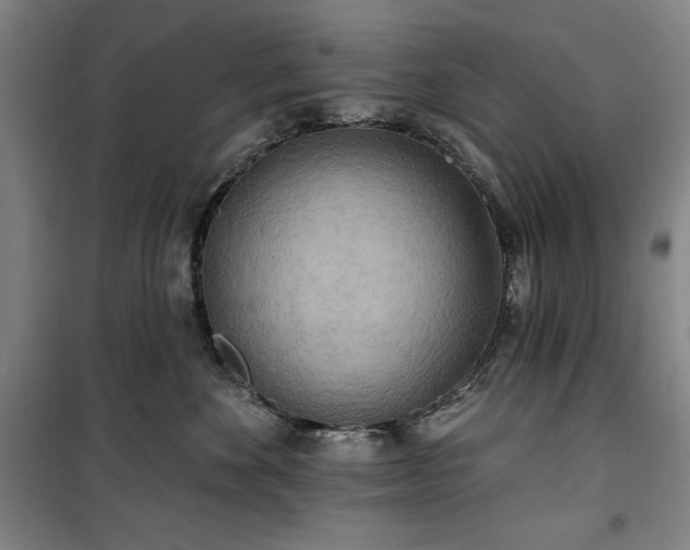 X0000100330524200806051537