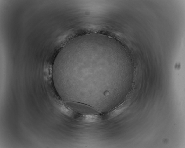 X0000100330528200806051537