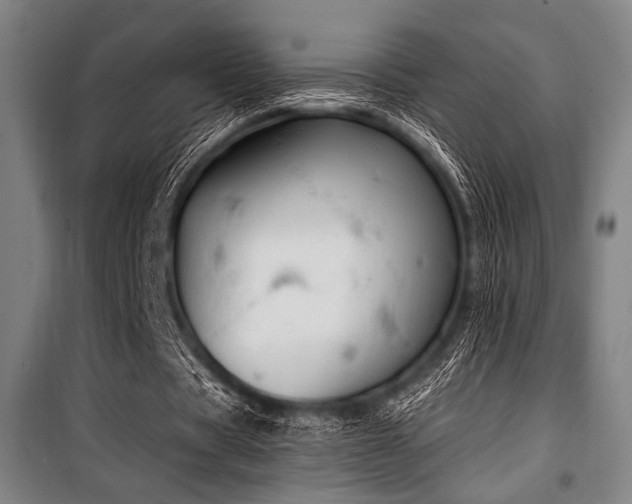 X0000100330529200806051536