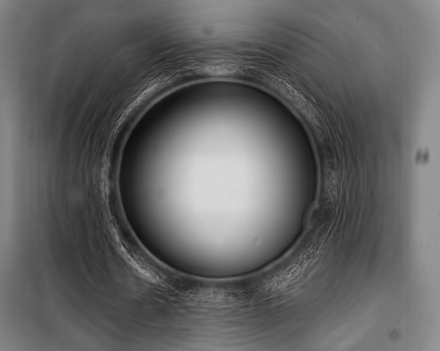 X0000100330530200806051536