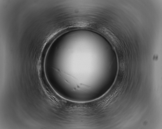 X0000100330532200806051536