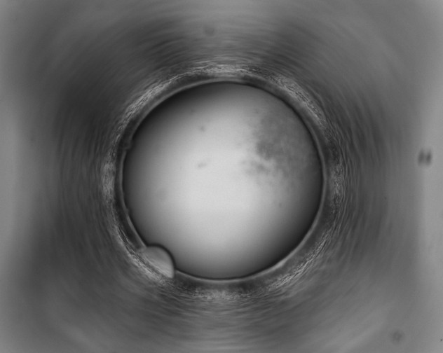 X0000100330533200806051536